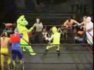 Pro Wrestling Is A Serious Sport
